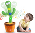 files/dancingcactus2_ae7a4491-0b63-4aa1-8b67-0d97904a1d01.png